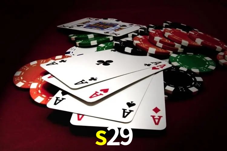 Interface Premium s29
